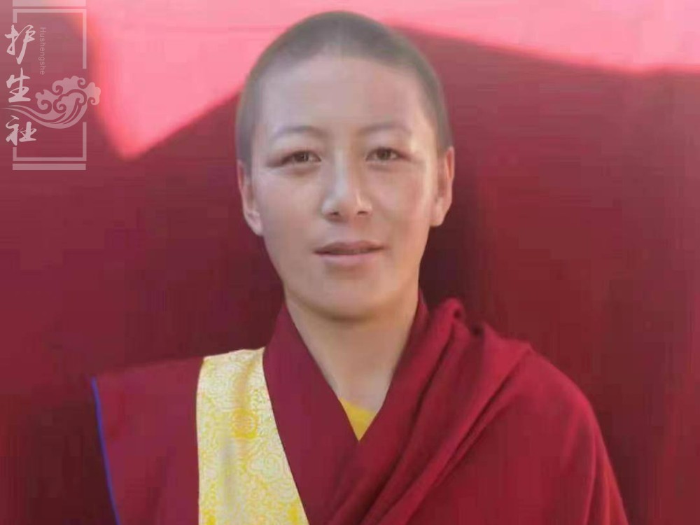 *秋忠旺毛师父患罕见疾病，正在治疗中*